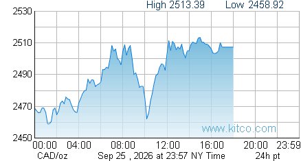 Platinum 24 hour chart